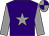 Purple, grey star & sleeves, quartered cap (Edward Thomas O'Neill)