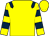 Yellow, dark blue epaulets, hooped sleeves (06 Zoo Ltd)