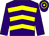 Purple & yellow chevrons, purple sleeves, hooped cap (T A Austin)