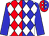 Red & blue halves, white diamond 'gjp' red sleeve, white diamonds, blue sleeves (Prachar, Gary And Jerribeth)