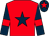Red, dark blue star, dark blue sleeves, red armlets and star on dark blue cap (Mrs Julie Whatley & Mrs Sandra Boggon)