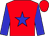 Red, red,white,blue star, red,white,blue sleeves (Flurry Racing Stables Llc)