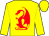 Yellow, red dragon (Sajor Stable)