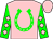 Pink, green horseshoe, green sleeves with pink diamonds (Sandy Gale)
