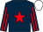 Dark Blue, red star, striped sleeves, white cap (Michael O'Callaghan Racing Club & J P Foley)