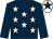 Dark blue, white stars, dark blue sleeves, white cap, dark blue star (S & M O'Brien Partnership)