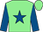 Light green, royal blue star & sleeves, light green cap (Michael J Slattery & Karl Slattery)