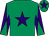 Emerald green, purple star, diabolo on sleeves, purple star on cap (Coolglen Syndicate)