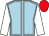 Light blue, white seams and sleeves, red cap (Mr John Hobbs)