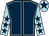 Dark blue, light blue seams, light blue sleeves, dark blue stars, light blue cap, dark blue star (The Philip Kirby Racing Partnership)