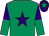 Emerald green, purple star, purple and emerald green halved sleeves, purple cap, emerald green star (Neil Grantham & David Bichan)