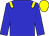 Blue, yellow epaulettes and cap (Mr M C Gerber)