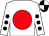White, red ball, black spots on sleeves, black and white quartered cap (Ron Paolucci Racing, Llc)