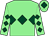 Light green, dark green triple diamond, diamonds on sleeves, light green cap, dark green diamond (The Green Diamond Partnership)