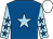 Royal blue, light blue star, light blue sleeves, royal blue stars, white cap (Mr Graham Kerr)