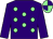 Purple, light green spots, purple sleeves, quartered cap (Sean McNamara)