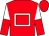 Red, white hollow box, white and red halved sleeves (The All In Syndicate)