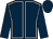 Dark blue, beige seams, dark blue sleeves and cap (Steph Hollinshead Racing 1)