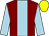 Maroon, light blue stripe and sleeves, yellow cap (Mr C N Richardson)