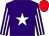 Purple, white star, striped sleeves, red cap (Mr R P Dineen)