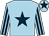 Light blue, dark blue star, striped sleeves and star on cap (S & A Mares & A Potze)