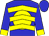 Blue, Yellow Ball, Yellow Chevrons And Cuffs On Sleeves, Blue Cap (Patricia Bosley)