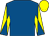 Royal blue, yellow and royal blue diabolo on sleeves, yellow cap (Mr A A Byrne)