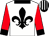 White, black fleur de lys, red sleeves, black collar and cuffs, black and white striped cap (Messrs J F & L M F Wernars & P A Pearson)