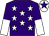 Purple, white stars, halved sleeves, white cap, purple star (Dozen Dreamers Partnership)