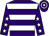 Purple, white hoops, purple sleeves, white stars (Team Wallop & Partner)