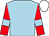 Light blue, red sleeves, light blue armlets, white cap (Mr C B Compton & Mrs Karen Bowen)