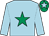 Light blue, emerald green star, emerald green cap, light blue star (R P B Michaelson & E M Thornton)