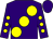 Purple, large yellow spots, yellow spots on purple sleeves and cap (Mr T J C Seegar)
