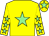 Yellow, light green star, yellow sleeves, light green stars, yellow cap, light green star (Mrs Elizabeth Lloyd)