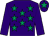 Purple, emerald green stars, purple sleeves, purple cap, emerald green star (Mr I McInnes, Dr M Glaze & E Burke)