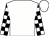 White, black and white check sleeves (Mme J P Angelini)
