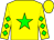 Yellow, green star, green diamonds on sleeves (Raymond McAtee)