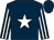 Dark blue, white star, striped sleeves (Excel Racing & Les Boyer)