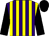 Purple and yellow stripes, black sleeves and cap (Racing Ventures 2014)
