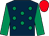 Dark blue, emerald green spots and sleeves, red cap (Miss Anna Bramall)