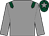 Grey, dark green epaulettes, dark green cap, grey star (John Hughes Bloodstock Limited)
