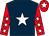 Dark blue, white star, red sleeves, white stars, red cap, white star (Favourites Racing Ltd)