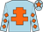 Light blue, orange cross of lorraine, orange diamonds on sleeves, orange star on cap (Ms S Sands)
