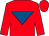 Red, royal blue inverted triangle (A Good Days Racing)