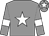Grey, white star, white armlet, white star on cap (Jake O'Connor & Eoghan O'Leary)