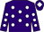 Purple, white spots, white diamond on cap (Lilycats Syndicate)