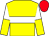 Yellow, white hoop, white and yellow halved sleeves, red cap (Mr Neville Boyce)