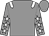 Grey, white epaulets, grey sleeves, white stars (Al Thumama Racing)