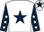 White, dark blue star, dark blue sleeves, white stars, white cap, dark blue star (Mr Saeed H Altayer)