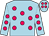 Light blue, cerise dots (Taylor Mountain Farm LLC)